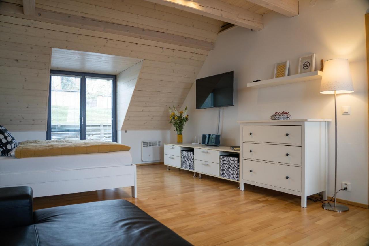 Stylovy Apartman C. 8 U Venuse, Pavlov U Mikulova Eksteriør bilde